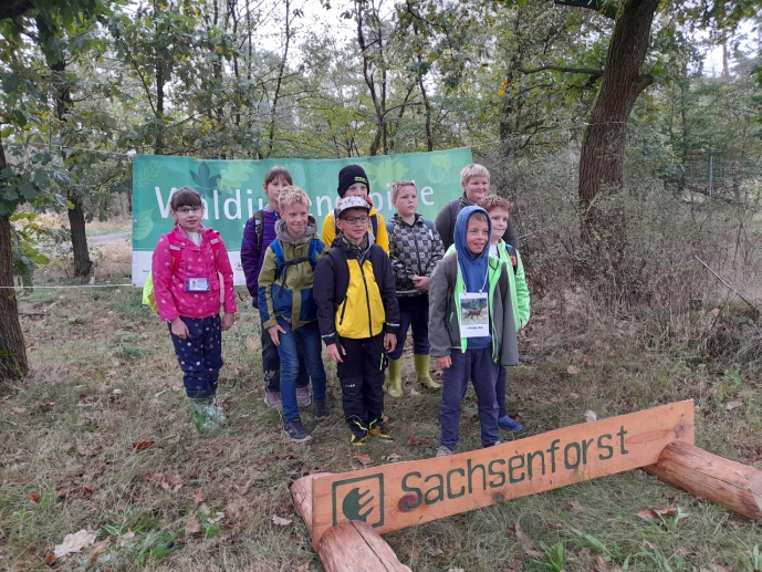 Waldjugendspiele Klasse 4 in Tornau